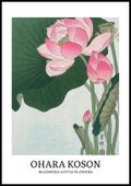 Plakat 70x100cm Design Lotus, Koson Vintage do Salonu
