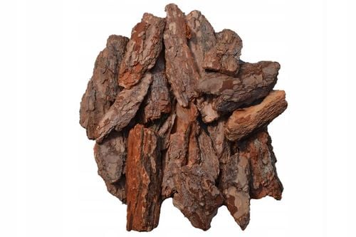 SUPER OZDOBNA Kora sosnowa ręcznie wybierana GRUBA na Arena.pl