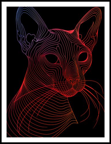 Plakat 60x80cm Cyfrowa Kocica na Arena.pl