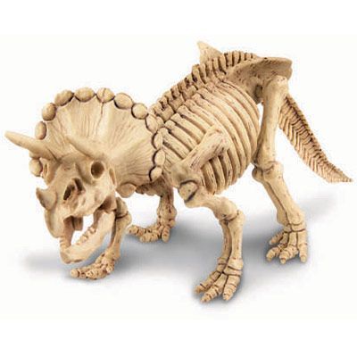 Wykopaliska - Triceratops na Arena.pl