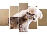 70 100CM OBRAZ 5 ELEM PRZYJACIELE DRUK PŁÓTNO