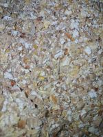 Karma Pasza Naturalna bez Chemii Ziarno dla kur niosek, kaczek gęsi 20kg