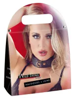 zado wild thing - skorzana obroża z wyściołką i złotym łańcuszkiem