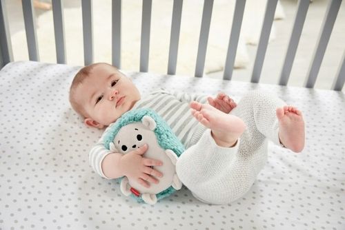 FISHER PRICE JEŻ USPOKAJACZ z wibracjami wibrujący jeżyk FXC58 na Arena.pl