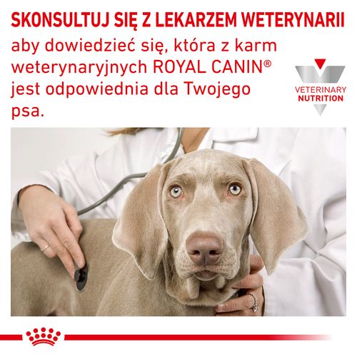 royal canin hypoallergenic 2kg na Arena.pl