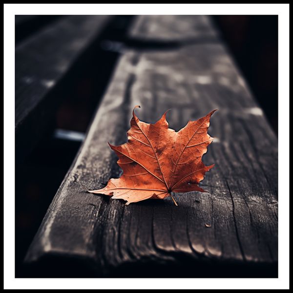 Plakat 70x70cm Pojedynczy Liść zdjęcie 3