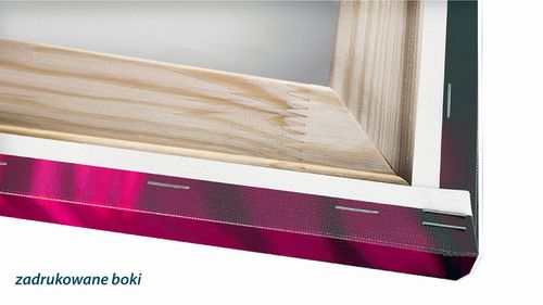 OBRAZ NA PŁÓTNIE KWADRATOWY - Szop (1) na Arena.pl