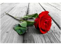 60X40CM RÓŻA DESKACH OBRAZ