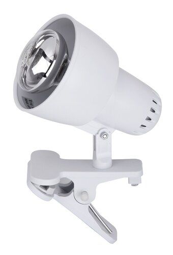 Lampa stołowa Clip na Arena.pl