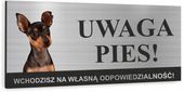 Tabliczka UWAGA ZŁY PIES - PINCZER MINIATUROWY nadruk uv