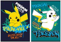 zeszyt a4/32k kratka laminowany pokemon 1415 a'15