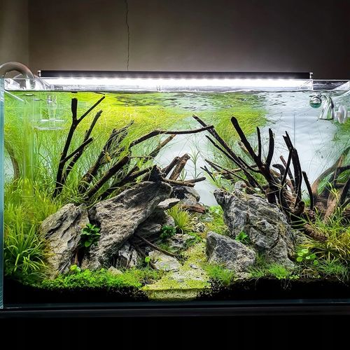 Czarny Piasek Żwirek do Akwarium Naturalny Doskonały dla Roślin 24kg 2-3mm na Arena.pl