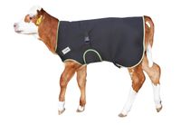 product-compare-58664784