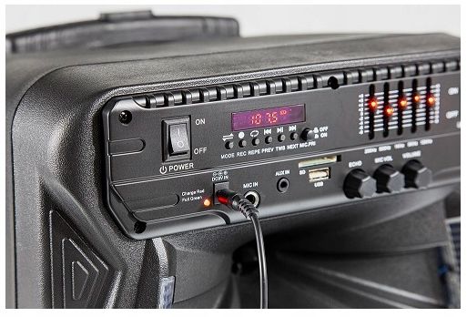 Głośnik Power Audio Manta SPK 5033 40W karaoke zdjęcie 6