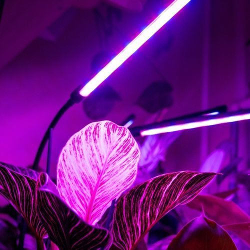 LAMPA DO WZROSTU UPRAWY ROŚLIN LED GROW LIGHT TIMER 9 POZIOMÓW ŚWIECENIA na Arena.pl