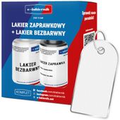 lakier zaprawka + bezbarwny zaprawkowy renault dv369 blanc glacier