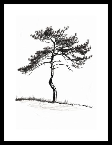 Plakat 21x29,7cm Samotna Sosna na Arena.pl