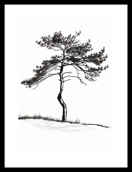 Plakat 21x29,7cm Samotna Sosna zdjęcie 3
