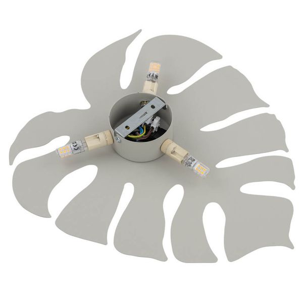 Kinkiet naścienny do przedpokoju Monstera 5946 liść loftowy beżowy zdjęcie 4