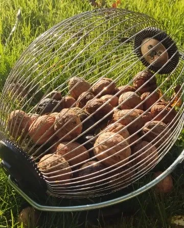 ZBIERACZ DO ORZECHÓW OWOCÓW ROZKŁADANY TELESKOPOWY ZBIERAK KASZTANÓW - na Arena.pl