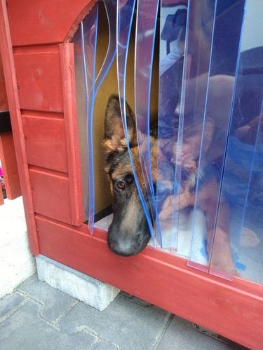 BUDA DLA PSA XL OCIEPLANA RÓŻNE KOLORY+GRATIS na Arena.pl