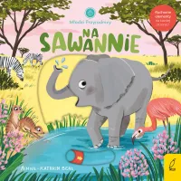 product-compare-62079820