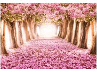 100 70CM OBRAZ PŁÓTNO ROMANTYCZNA ALEJKA PŁÓTNO RAMA