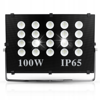 HALOGEN LED 100W NAŚWIETLACZ LAMPA IP65 10000lm
