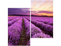 product-compare-58648074