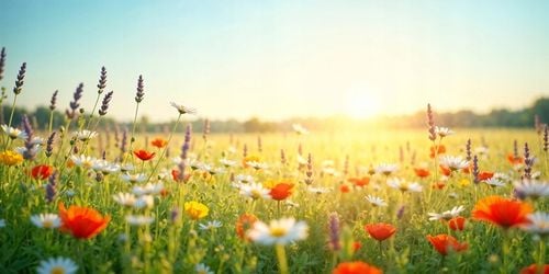 ZESTAW Nawóz wieloskładnikowy SALETRZAK 5kg POLIFOSKA 6 5kg na Arena.pl