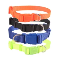 Obroża dla psa z nylonu 1 cm szerokości 20-30 cm w czterech kolorach zapewniająca wygodę