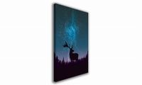 product-compare-61054810