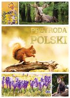 Przyroda Polski Książka Przyrodnicza Album Zwierząt Roślin Ciekawostki