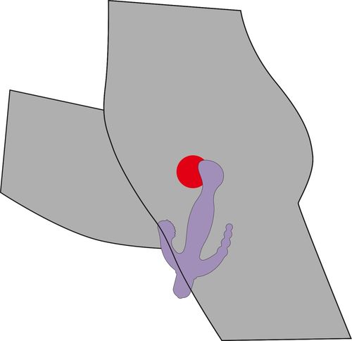 3 Pointer Wibrator G-Spot, analny i łechtaczki na Arena.pl