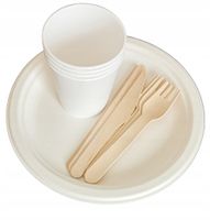 ZESTAW GRILL Talerze,kubki jednorazowe PIKNIK 12os