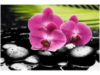 120CM 80CM OBRAZ ŚCIENNY STORCZYKI KAMIENIACH