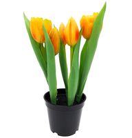 TULIPANY SILIKONOWE W DONICZCE TULIPAN GUMOWY POMARAŃCZOWY 5szt