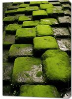 Obraz 70x100cm Zielona Mozaika