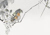 Plakat 100x70cm Two Sparrows, Seitei Japoński Vintage