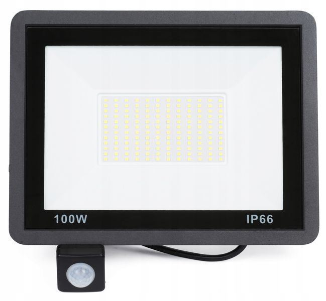 Halogen biały zimny 9500 lm 100,1 W zdjęcie 2