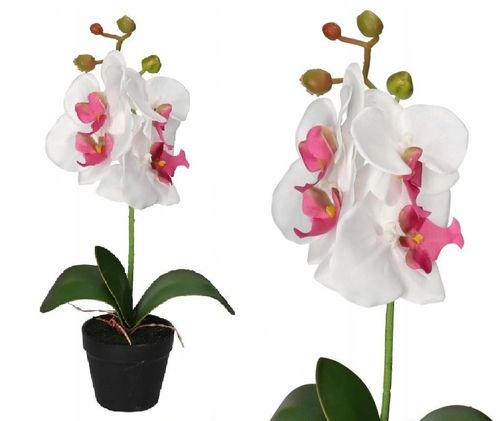 STORCZYK ORCHIDEA SZTUCZNE KWIATY W DONICZCE 38 CM na Arena.pl