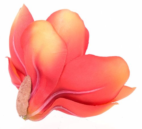 Magnolia główka czerwona na Arena.pl