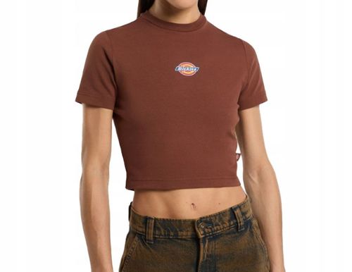 T-shirt Dickies Maple Valley Tee S na Arena.pl