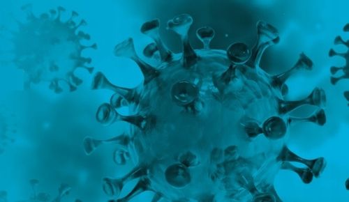 Płyn do dezynfekcji narzędzi kosmetycznych Alodes na Arena.pl