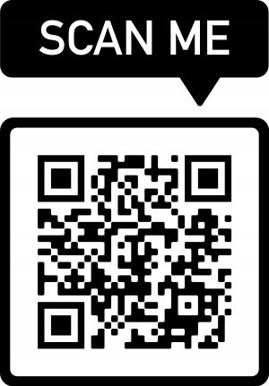 Zest. 4xDYSK SZCZOTKA+NASADKA do czyszczenia piast na Arena.pl