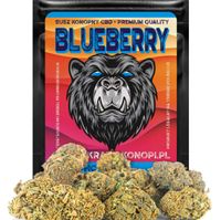 CBD SUSZ KONOPNY BLUEBERRY PRODUKT NATURALNY 5 g