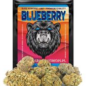CBD SUSZ KONOPNY BLUEBERRY PRODUKT NATURALNY 2 g