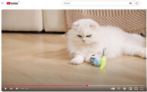 ZDALNIE STEROWANA ZABAWKA POJAZD MYSZ DLA KOTA INTERAKTYWNA NA PILOT AUTO na Arena.pl