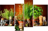 130CM 85 OBRAZ 4 ELEM PRZYPRAWY ZIOŁOWE ŚCIENNY