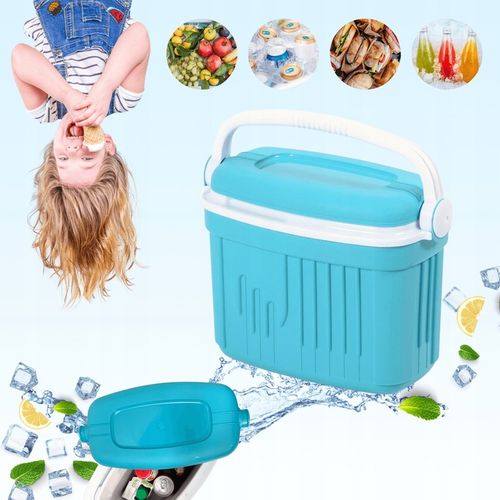 LODÓWKA TURYSTYCZNA 8L na WKŁADY MROŻĄCE do auta piknik WYCIECZKA kemping na Arena.pl